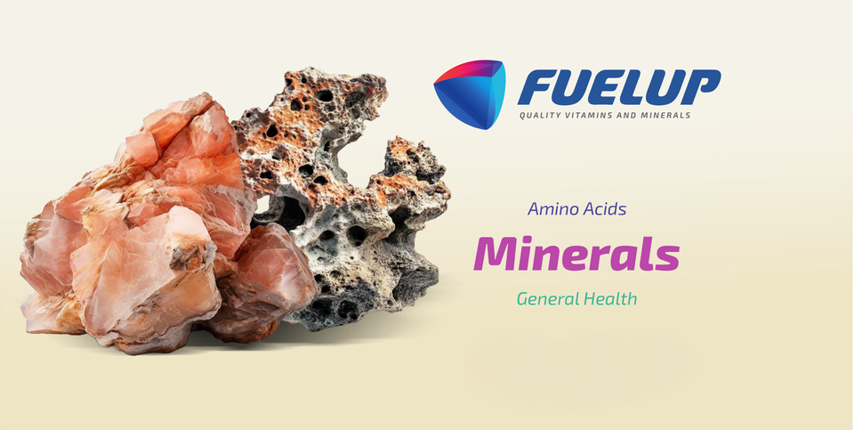 FUELUP - Magnesium Glycinate 100 mg / 120 veg caps - Image 5