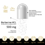 FUELUP - Berberine HCL 500 mg,  60 veg caps - Image 3