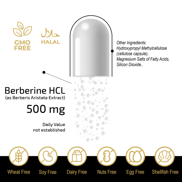 FUELUP - Berberine HCL 500 mg, 60 veg caps - Image 3