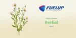 FUELUP - Shilajit Extract 250 mg,  60 veg caps - Image 6