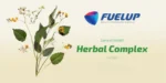 FUELUP - MACA 10:1 500mg, 100veg caps - Image 2