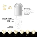 FUELUP - CreaFast Creatine HCL 500mg, 60 vegcaps - Image 3