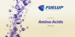 FUELUP - L-Arginine 500mg, 120vegcaps - Image 4